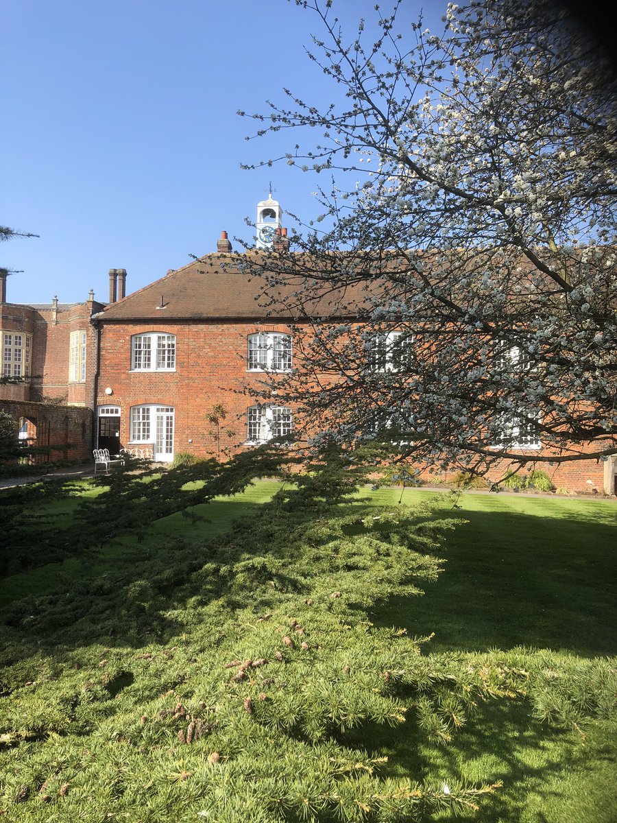 NewHallSchoolDP's tweet photo. https://t.co/N5VUyROOmd