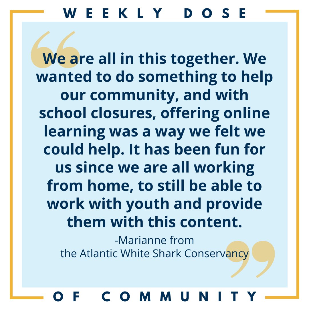 CCYP's tweet image. Consider this your weekly dose of community connectedness - even when we're far apart! This week, we're spotlighting Marianne Long from the Atlantic White Shark Conservancy - read the complete interview at capecodyoungprofessionals.org/blog &amp;gt;&amp;gt;