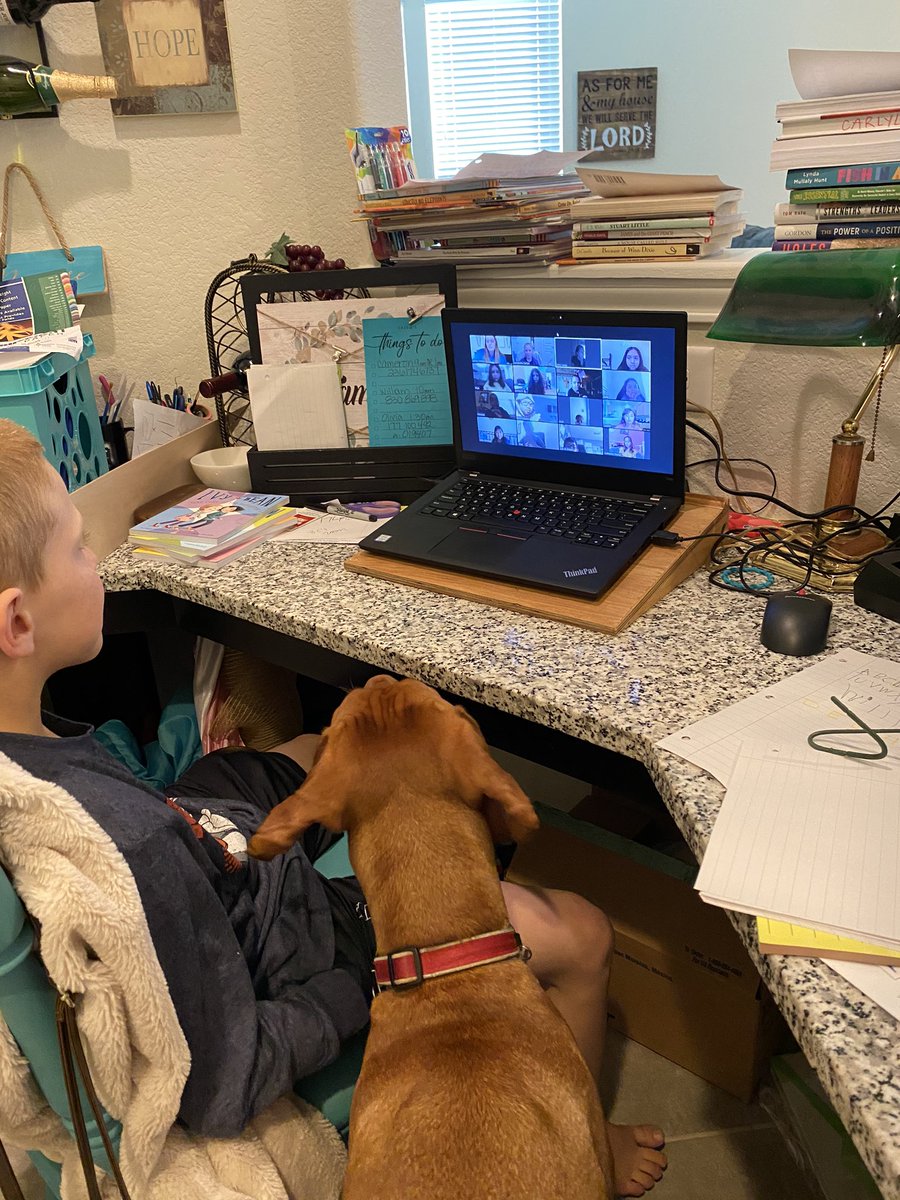casscarlyle's tweet photo. 3C and 🐶 @zoom_us with 4th grade! @Golbowtweets @ash_metz93 #geinspires https://t.co/NULDy1EB6o