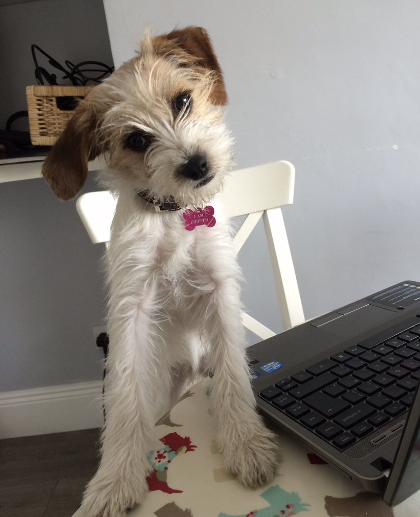 Your one from HR is a melter. I was away from my desk for 2 minutes 🤦🏻‍♀️