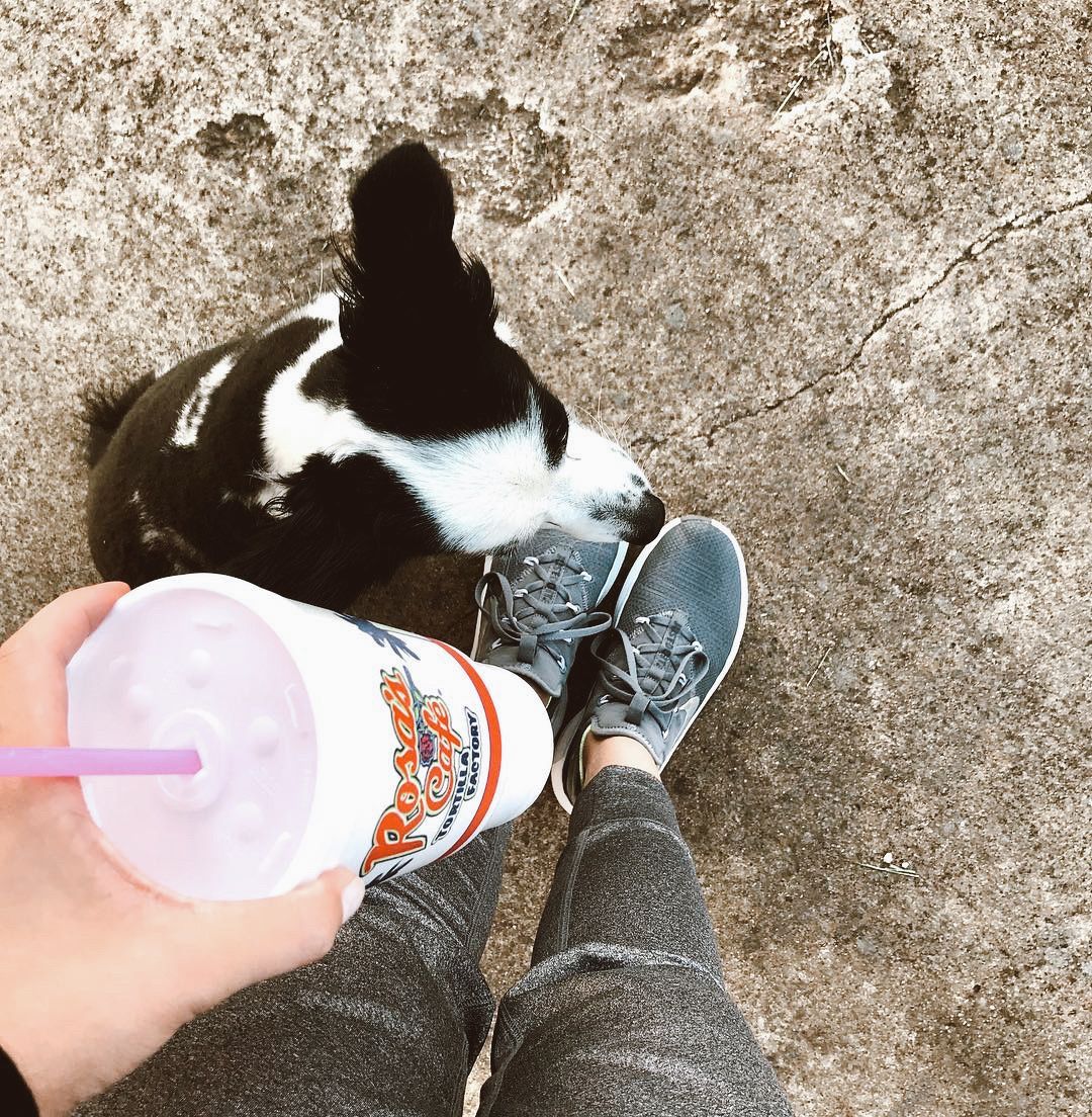 Name something better than Rosa's and puppies...we're waiting. 😍 Stop by today to grab your favorites through our drive-thru or enjoy our Family Meals curbside. #rosascafeandtortillafactory #rosascafe #curbside #drivethru #familymeals #tacos #fajitafriday