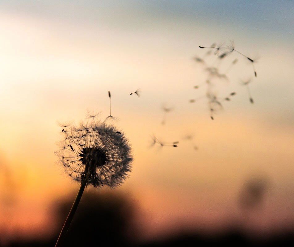 twinflamespod's tweet photo. Hey #AuthenticityWarriors !

Stuck inside? Not sure how to handle all this COVID craziness? Breathe. You have what you need to come out of this on the other side. We’re here with reflections, thoughts and suggestions for how to look at and use this time.

https://t.co/72aDn20Ir4 https://t.co/PnmuLPo0Wk