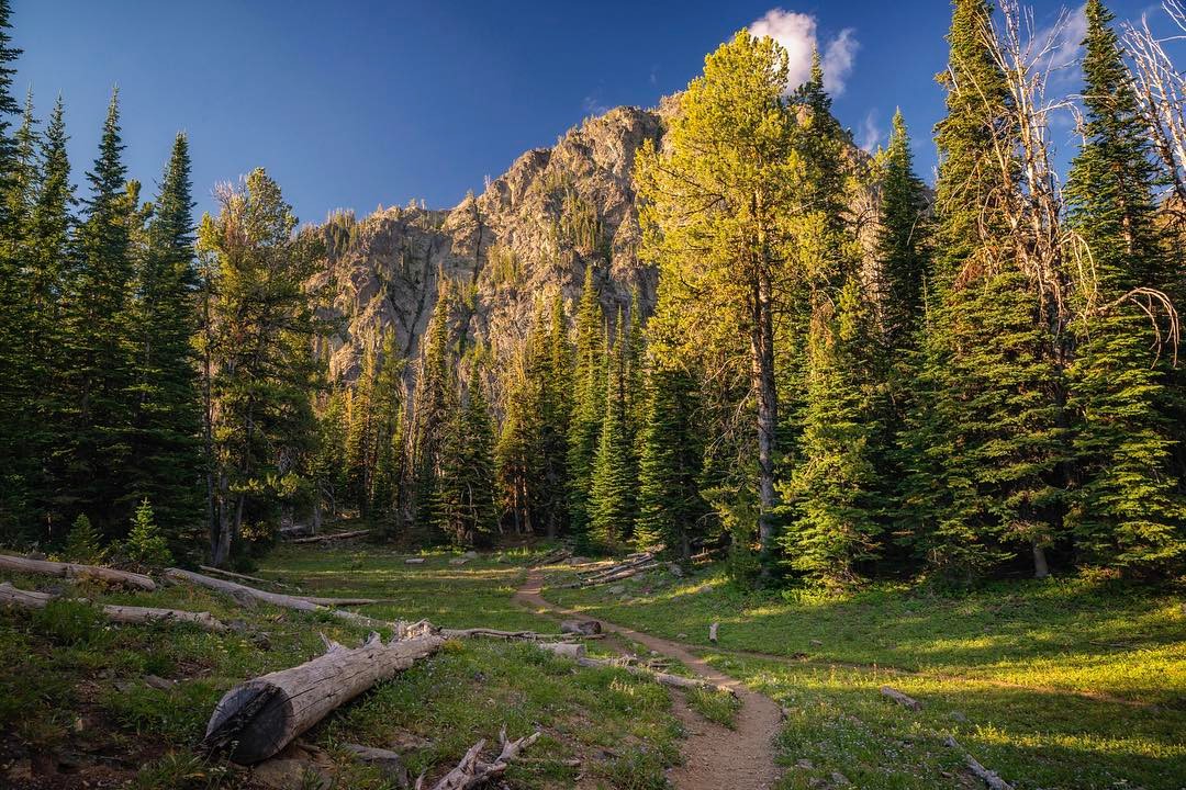 STQRY's tweet image. Deep in the mountains of Idaho, there is the Nez Perce National Forest that few have the opportunity to visit. If you're stuck at home, pass the time with a digital tour while planning that future visit!
📷:@visitidaho 

Take The Digital Tour at:
npclwnf.oncell.com/en/index.html
#OnCell