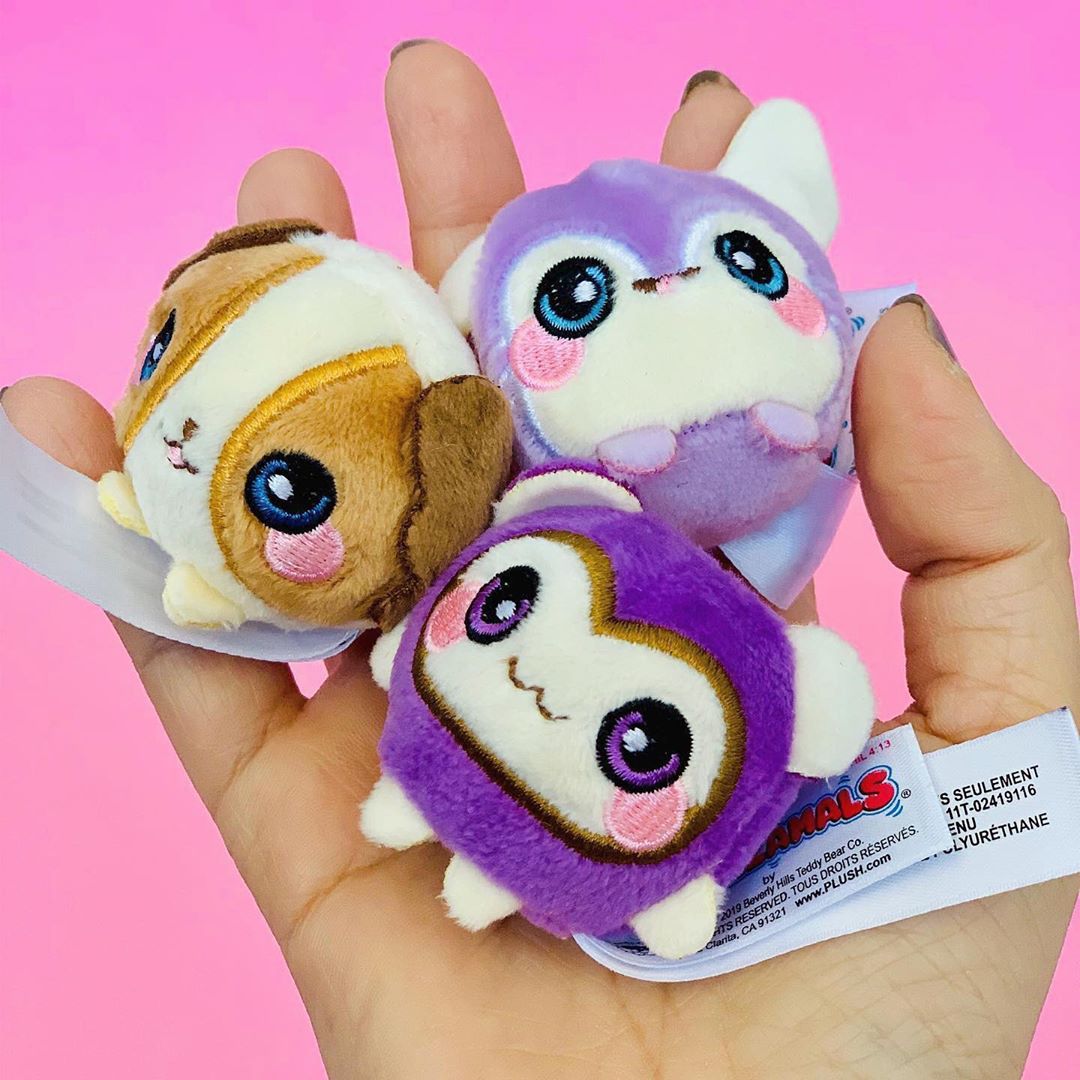 Imports_Dragon's tweet photo. We're living for these colours! ๐๐ How many can you fit in your hands? #Squeezamals https://t.co/bo4V5tCtqa