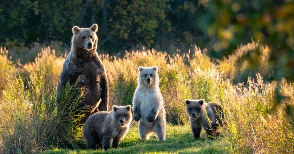 Naturephots's tweet photo. https://t.co/AjGOjylWz7