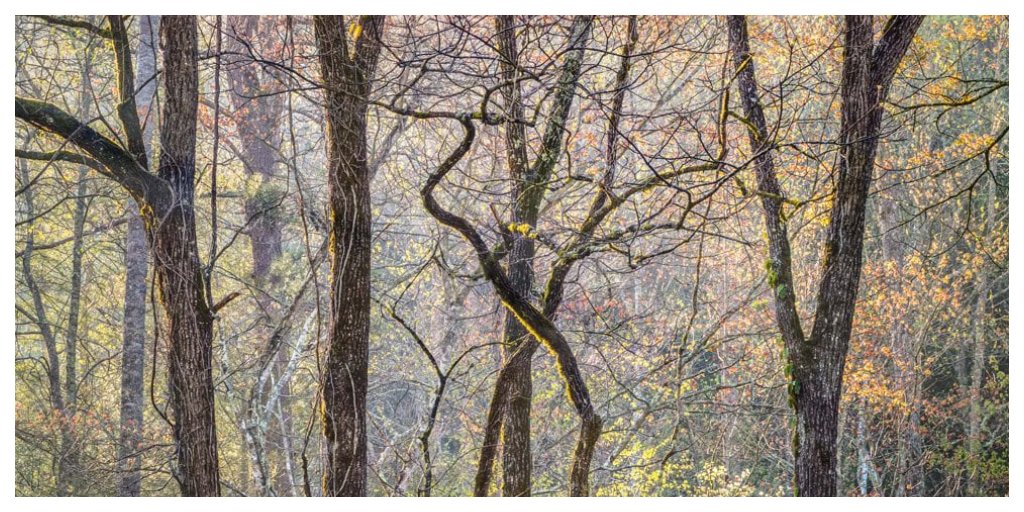 jcornishgallery's tweet photo. Our current Featured Photographer is Charles Cramer, who exhibits in the Ansel Adams Gallery in Yosemite USA and at the Joe Cornish Galleries UK.

https://t.co/VBwPlSuQOX

#joecornish #joecornishgalleries #charlescramer #landscape #photography #artcraftsoul #StayHomeSaveLives https://t.co/v3JM3aJqO9