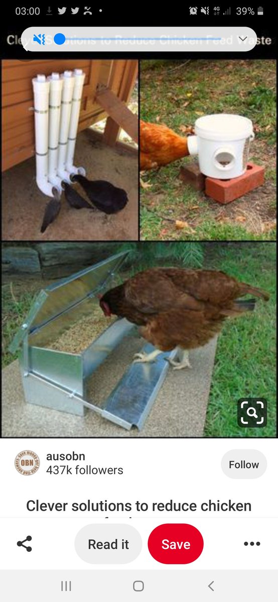 dnahinga's tweet photo. Ok.
If you don't have a refrigerator, you can buy 10 live chicken on market day.
Let them eat grass. Then slaughter and eat a quarter at a time.
Why preserve something that is self-preserving? Think outside the fridge(box) 😁😂😂
#CoronaPreparedness https://t.co/16qjKX8xR5