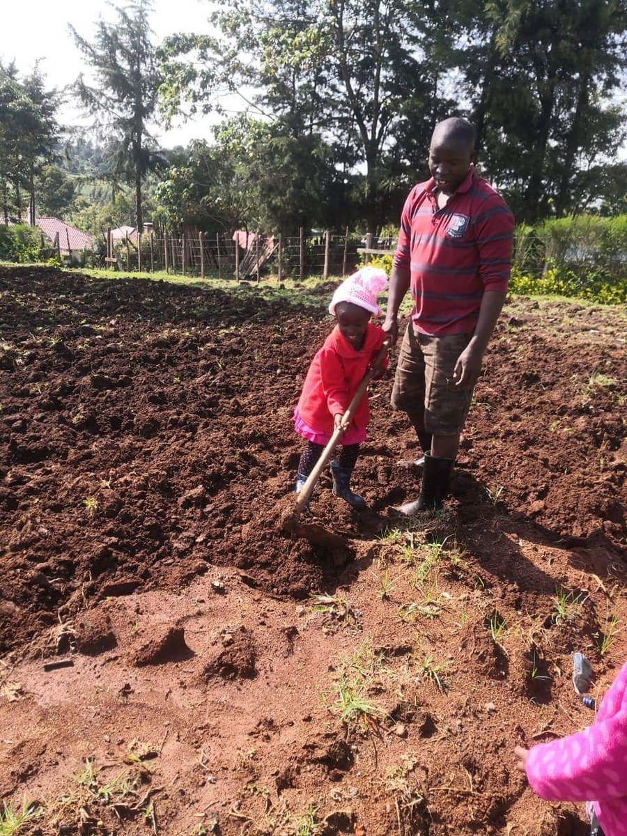 Araap_Sang's tweet photo. Competency Based Curriculum (CBC) lessons at the farm. 

Stay Home, Keep Safe. https://t.co/827SKZpwv0