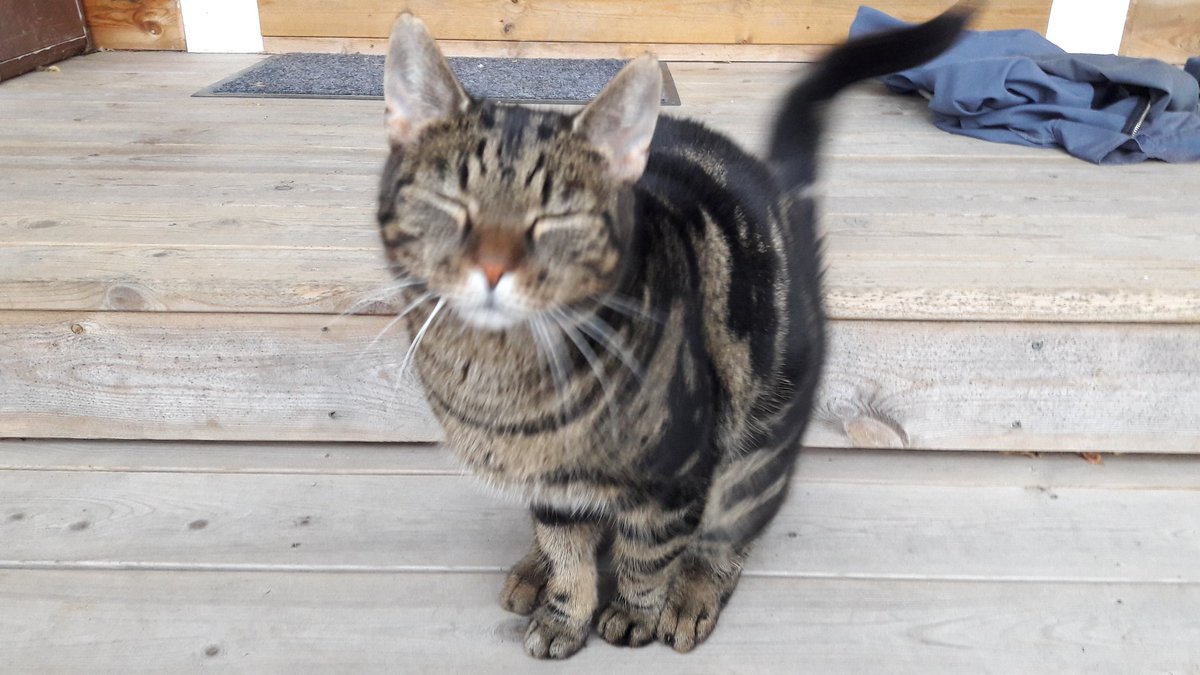 Elämäni kuvina haaste 7/7. Ei sanoja, ei ihmisiä. #päivänikuvina #elämänikuvina #mylifeinpictures

Minut haastoi <a href="/RistoLauhanen/">Risto Lauhanen</a>. Viimeistä viedään: haastan <a href="/perl_sari/">Sari Perälä</a>.