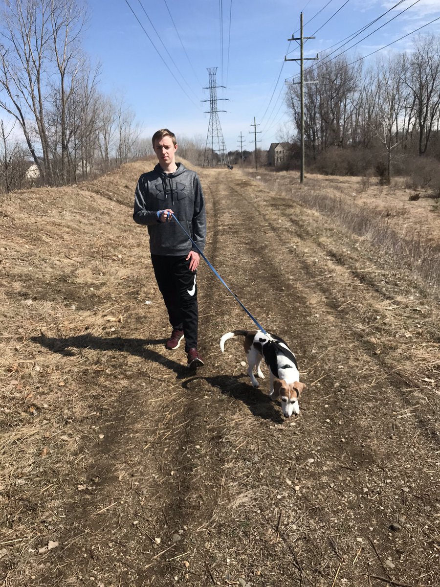 HamiltopiaC17's tweet photo. A new activity during our time at home: Hamilton daily walk with Brownie. What new activities are you putting into your daily routine. #NewNormalForNow #InThisTogetherOakview https://t.co/Sx9RUu6PUy