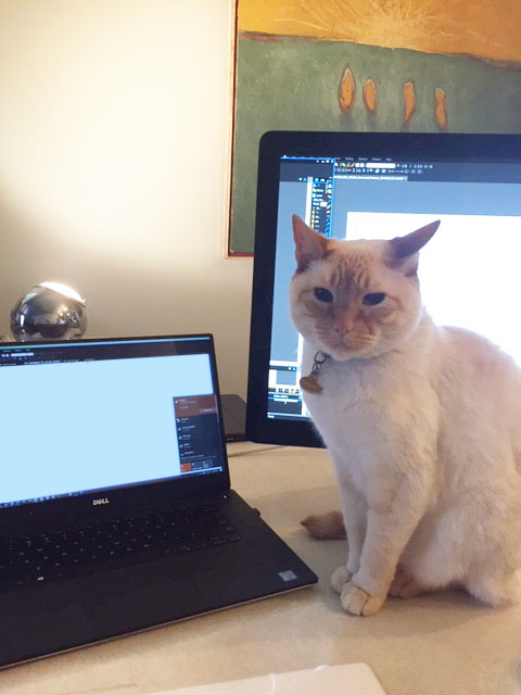 studiotrope tweet media