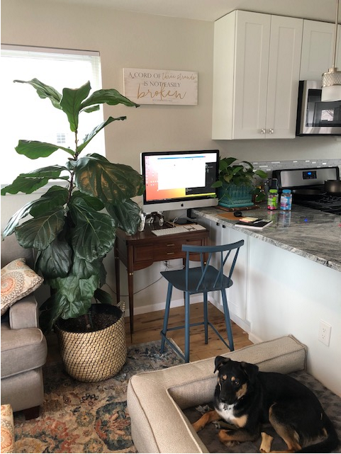 studiotrope tweet media