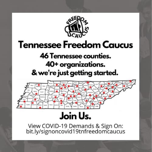 TNOrg4Power's tweet photo. We created demands with input from 46 counties in TN to inform state leaders about what we need now in order to survive this pandemic &amp; achieve long term, our liberation. View them at: https://t.co/NCvNqXsCpV #TNFreedom #TNFreedomCaucus #COVID19 https://t.co/L5sRS5lhBW