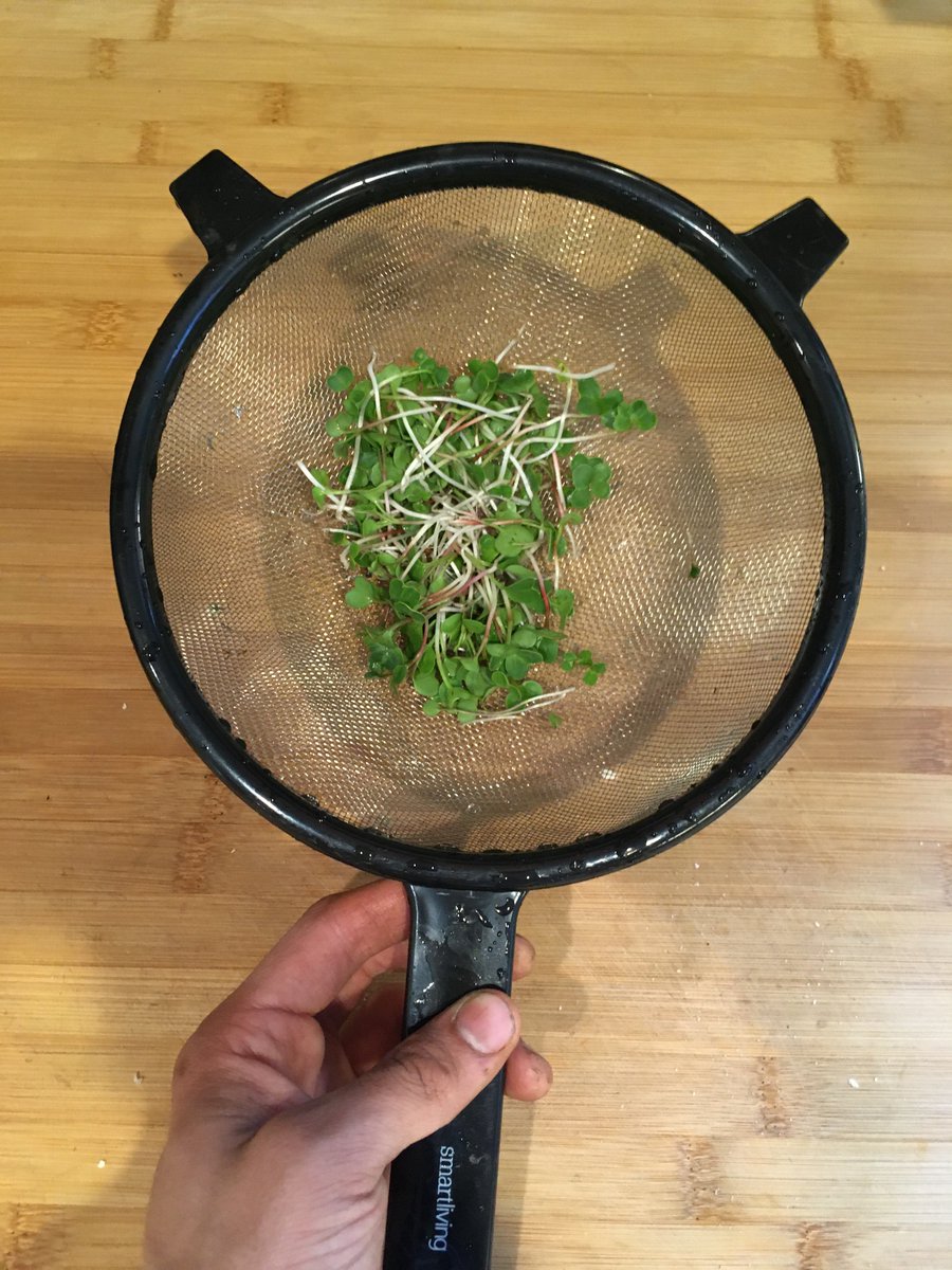 asparagus and brussell sprouts, new seedlings, radish micro-greens