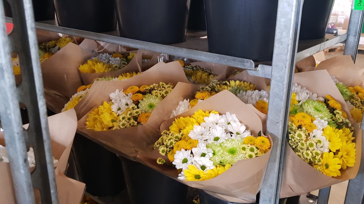 Kiepflower's tweet photo. #Eastertime with naturally chrysanthemums #season #spring
Special design for the #flowerboostchallenge https://t.co/XZ76IBOZlg