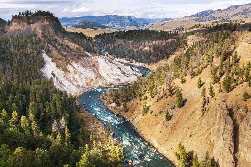 saltlakescouts's tweet photo. Take your scouting troop to a national park for free in 2020! Follow these instructions.  https://t.co/PZRrUHBZTc https://t.co/vxtXcN7bm4