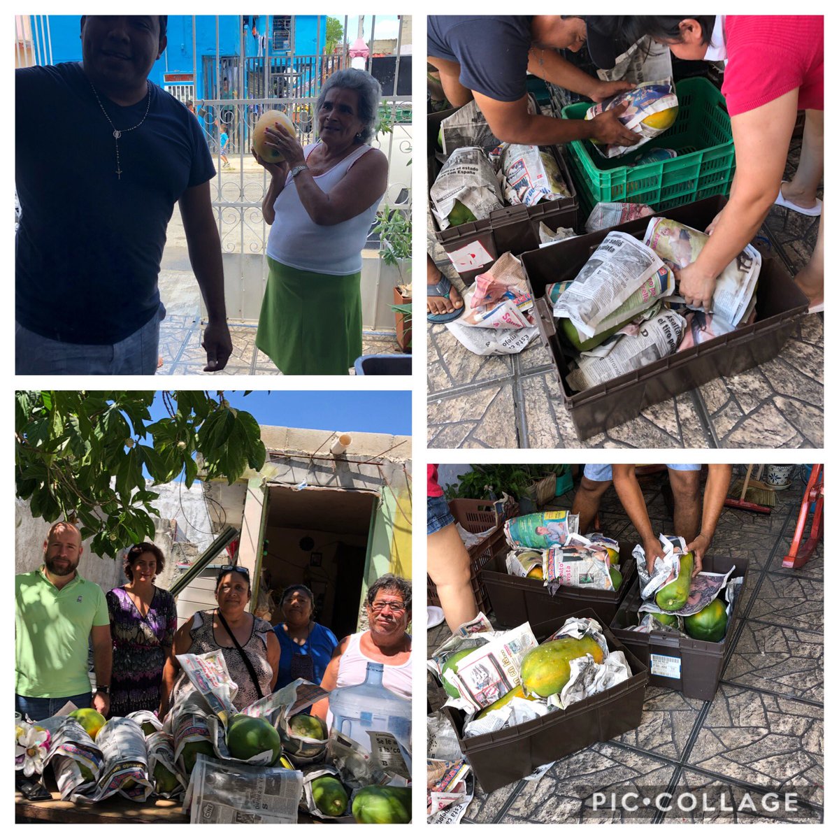 Pepe de la Peña tweet media