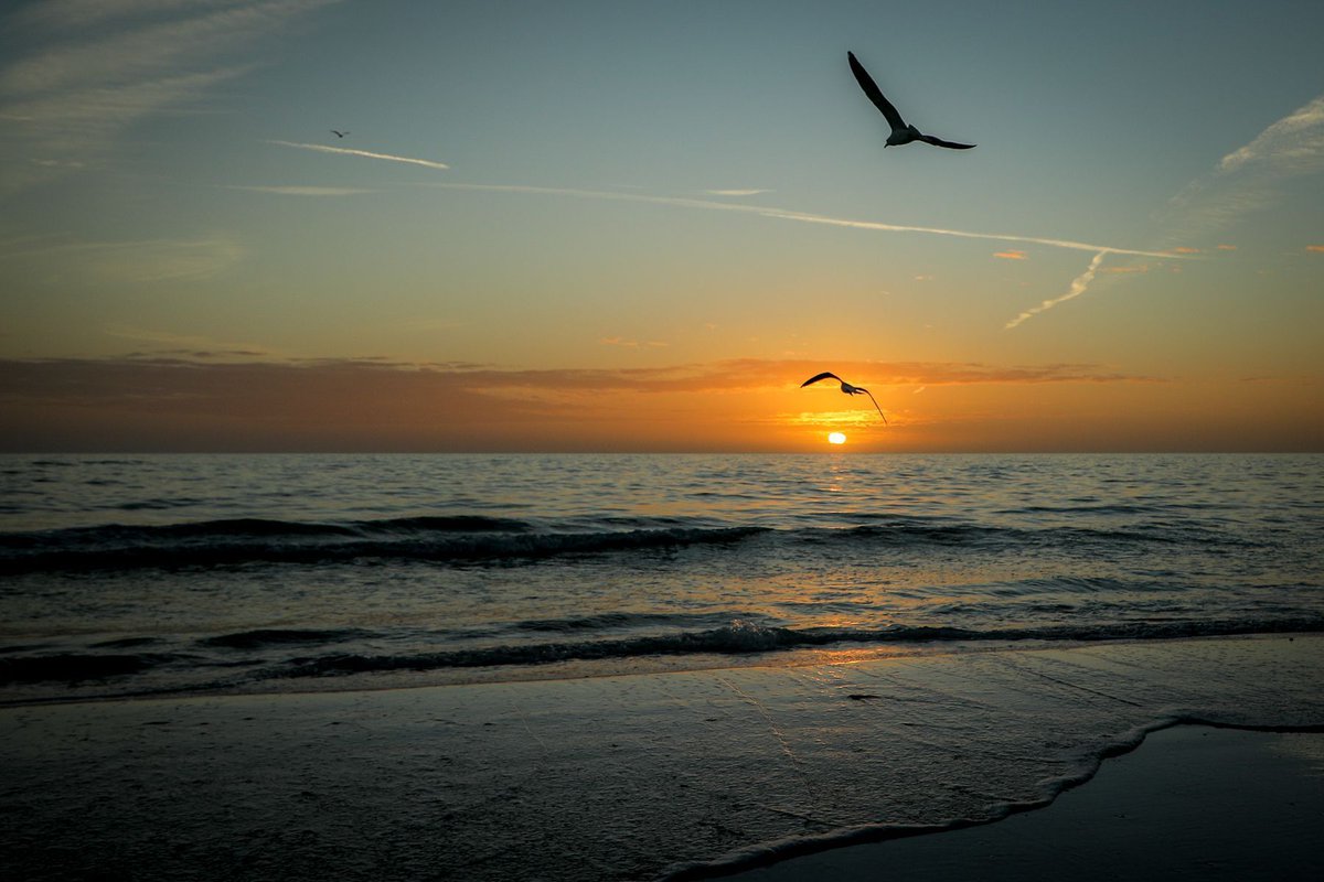Mbuckstudio's tweet photo. As we are all inside on a cloudy day I thought we would post a photo or two of something more fun. Summer! Have a great day everyone! #stuckinside #allinittogether #summerdreamin #covid19shutdown #lakeshore #sunset #professinalphotographer https://t.co/nykTWmpze5