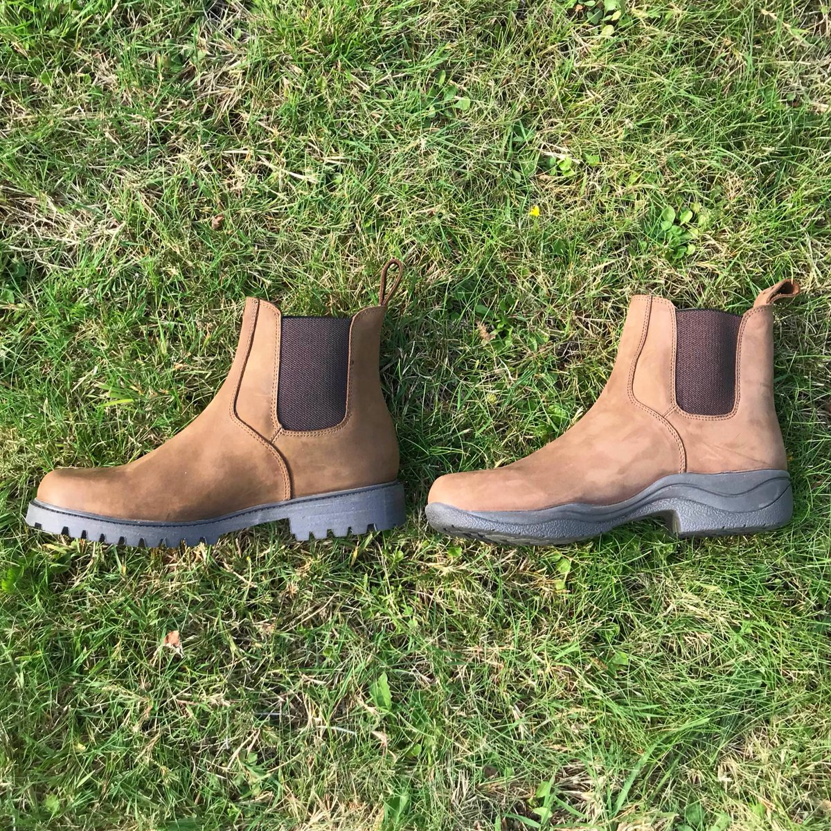 Horseland Ipswich Comfort For Your Feet All Day Long! The, 53 OFF