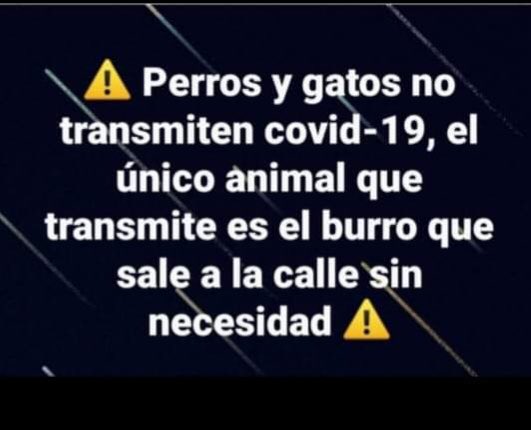 CarlosVerareal's tweet photo. Pausa de humor... https://t.co/P4jWzOuFnW