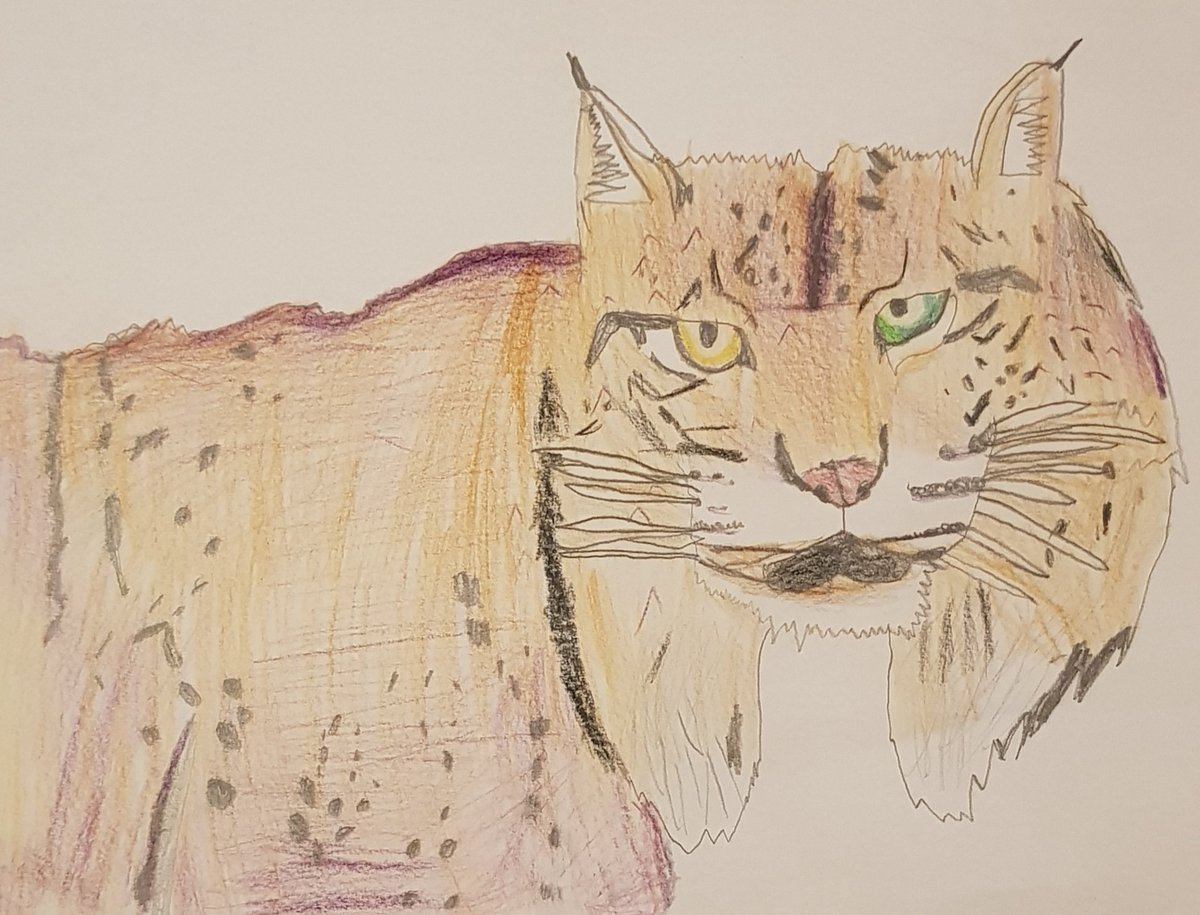 PedjaJ78's tweet photo. @darkmaterials Hi! This is Sigbjorn, the daemon from my son #DrawMyDaemon https://t.co/P23Y8Hpkjw