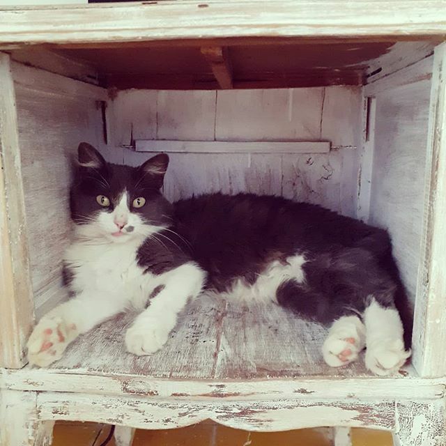 Marta se tomó enserio la cuarentena. ift.tt/2UFMkwv