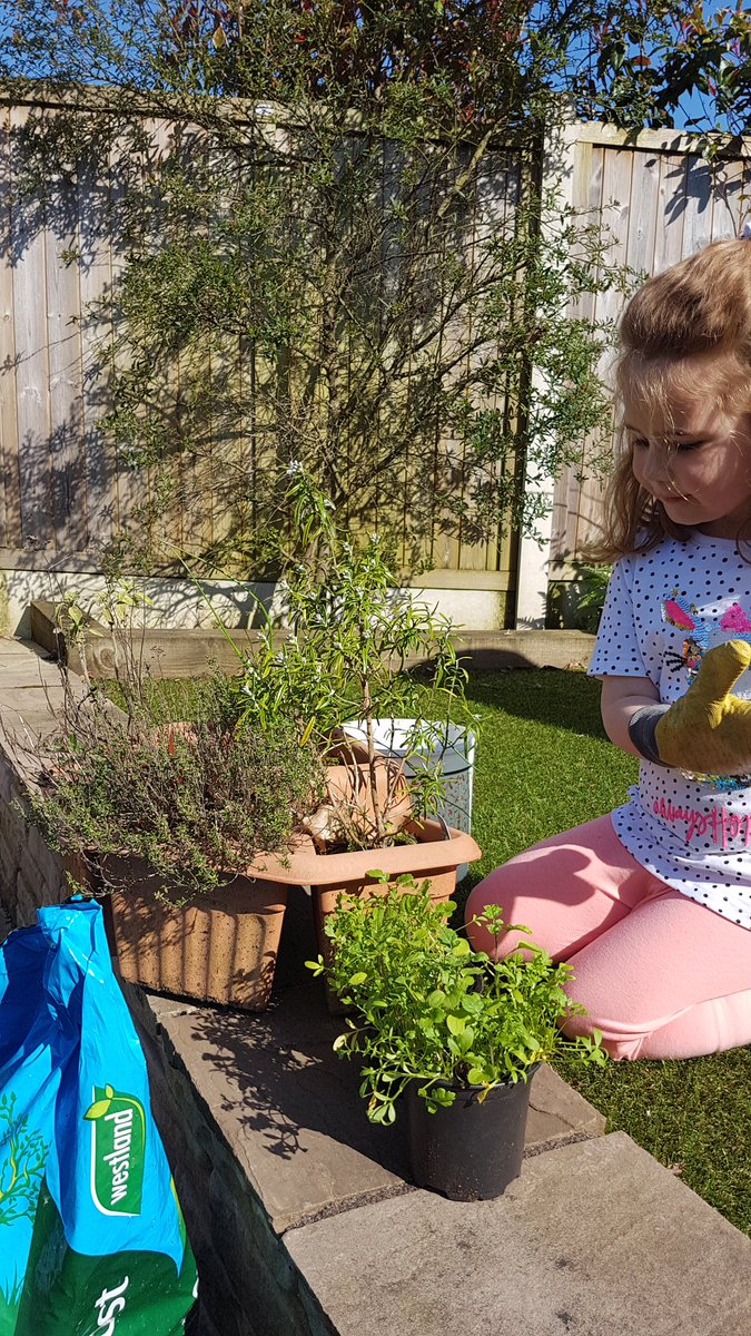 keithercat's tweet photo. Planting our new herbs thanks to @AshbridgeHortic @MissSeaton @ashbridgeschool https://t.co/iZMSgLKIH9