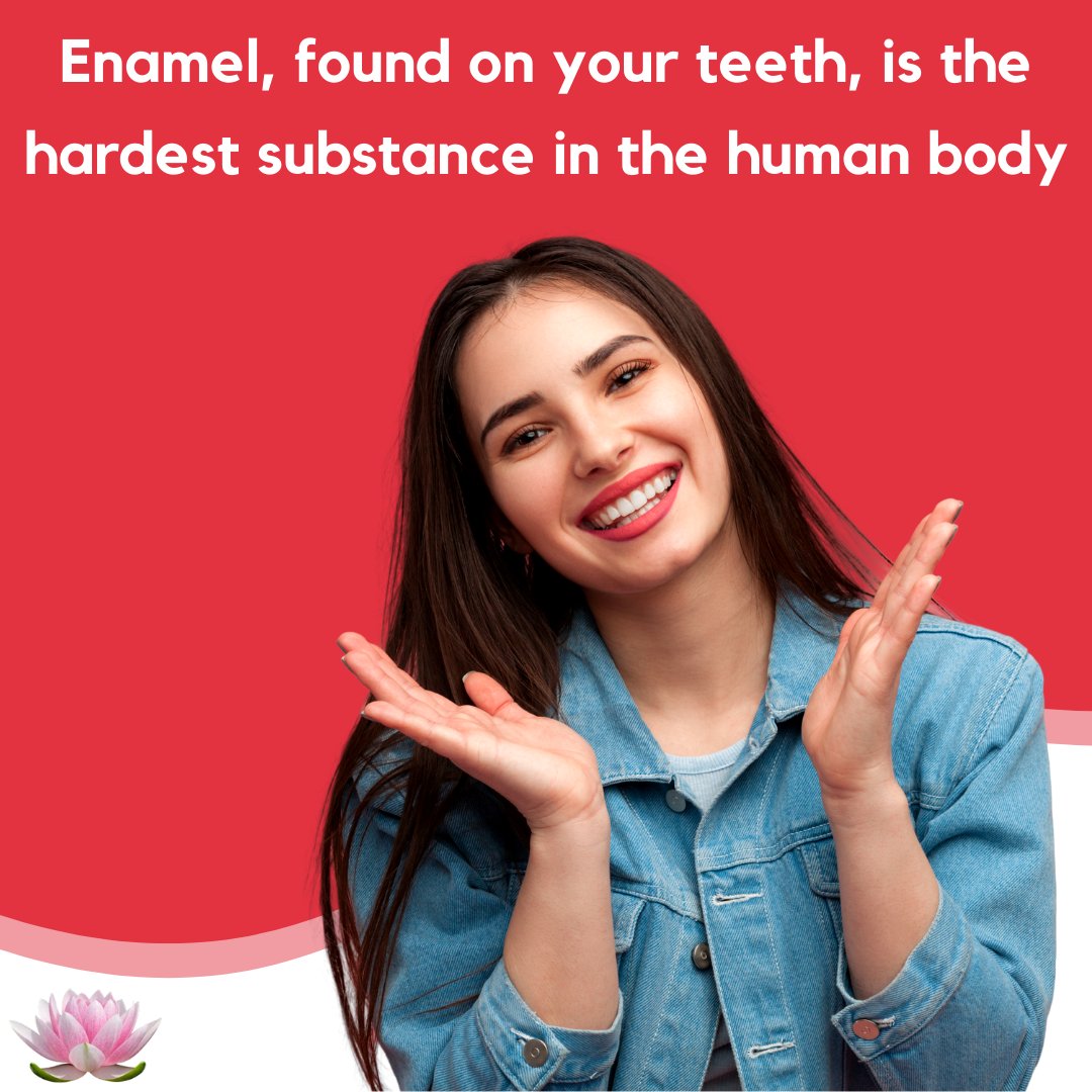 LotusFamHealth's tweet photo. Smile!!! You’re showing off the strongest substance in the human body!

(321) 221-7587.

https://t.co/7yHsINz2r5 

#LotusFamilyHealth #PrimaryCare #FunFactFriday https://t.co/NM0uGWNpbP