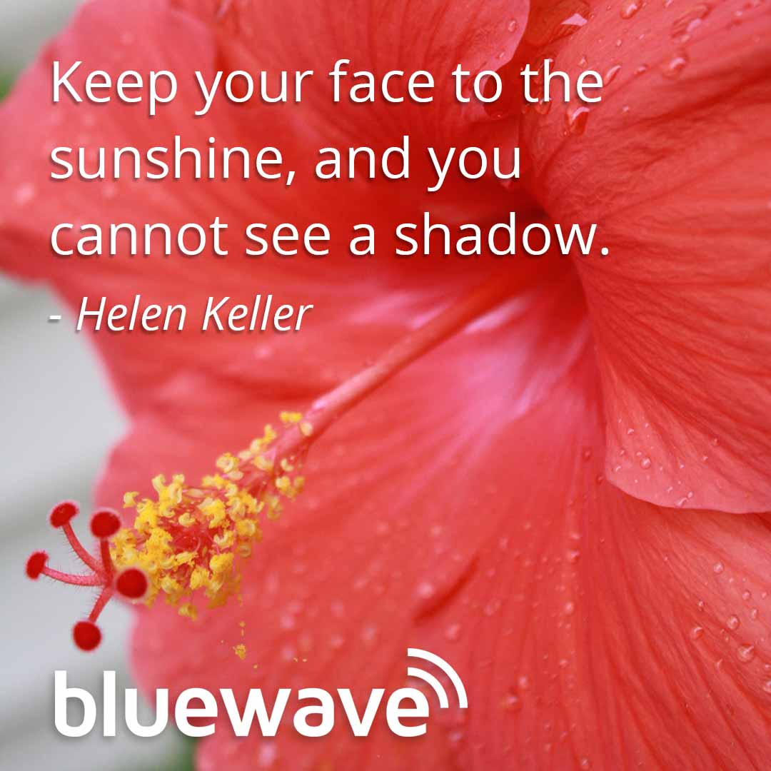 Bluewave tweet media