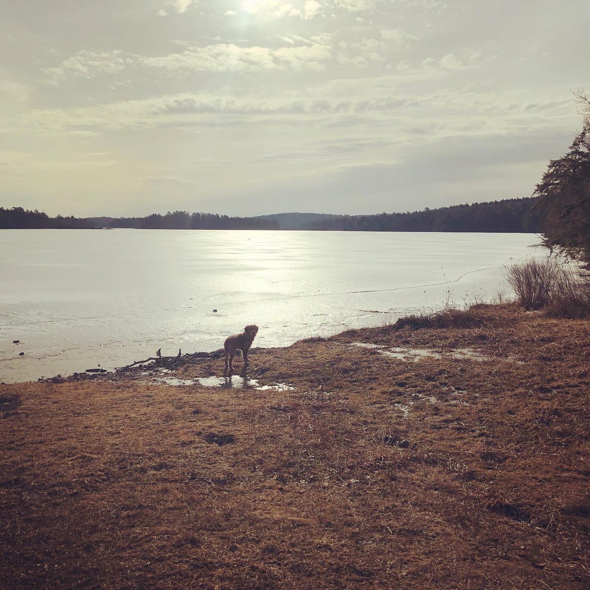 Kelly Nelson tweet media