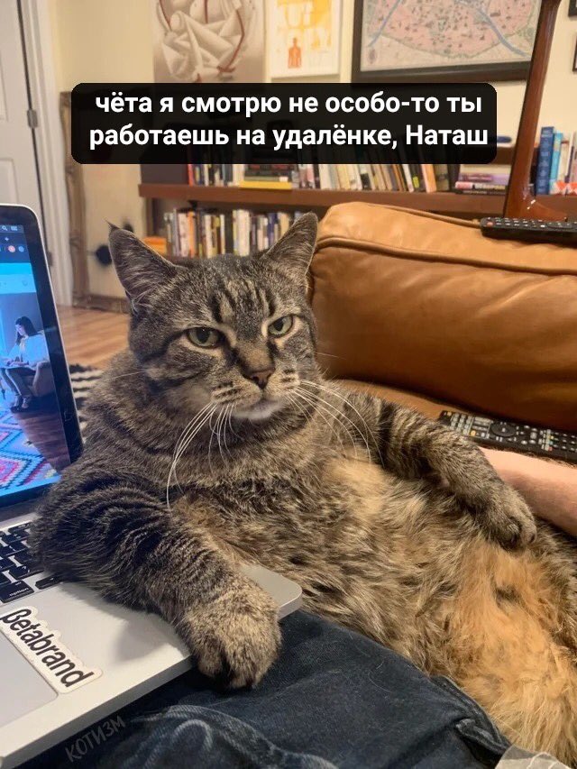 nussetta's tweet photo. #наташадня https://t.co/iTj7GCEBQ8