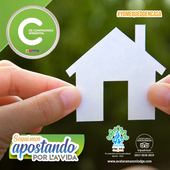 AvatarLodge's tweet photo. "Mientras hay vida, hay esperanza".  Cuidemos y ayudemos a cuidar este tesoro invaluable para llevarnos experiencias únicas con nuestros seres amados. 
Apostemos por la vida!  #Yomequedoencasa
.
🌎 https://t.co/PMgxTH9jfy 
.
#27Mar #AvatarAmazonLodge #MensajesEcologicos https://t.co/ZVcBPgN9QM