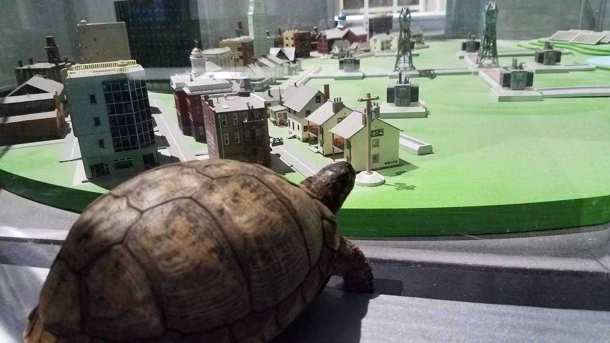 CTScienceCenter's tweet photo. Where is Ima exploring today? It looks like she is exploring our model of Hartford inside Energy City.
#ImaBoxTurtle #ImaAtTheScienceCenter #MuseumFromHome #Turtle #EnergyCity https://t.co/oLxtE4wuf4