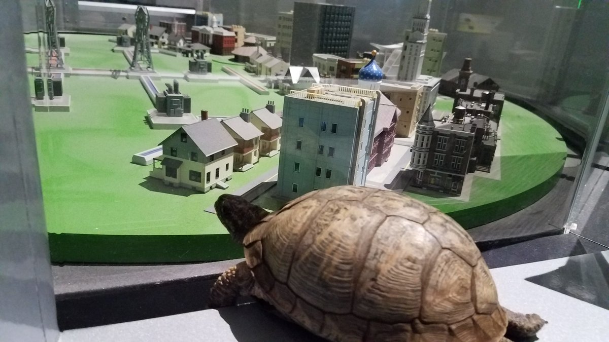 CTScienceCenter's tweet photo. Where is Ima exploring today? It looks like she is exploring our model of Hartford inside Energy City.
#ImaBoxTurtle #ImaAtTheScienceCenter #MuseumFromHome #Turtle #EnergyCity https://t.co/oLxtE4wuf4