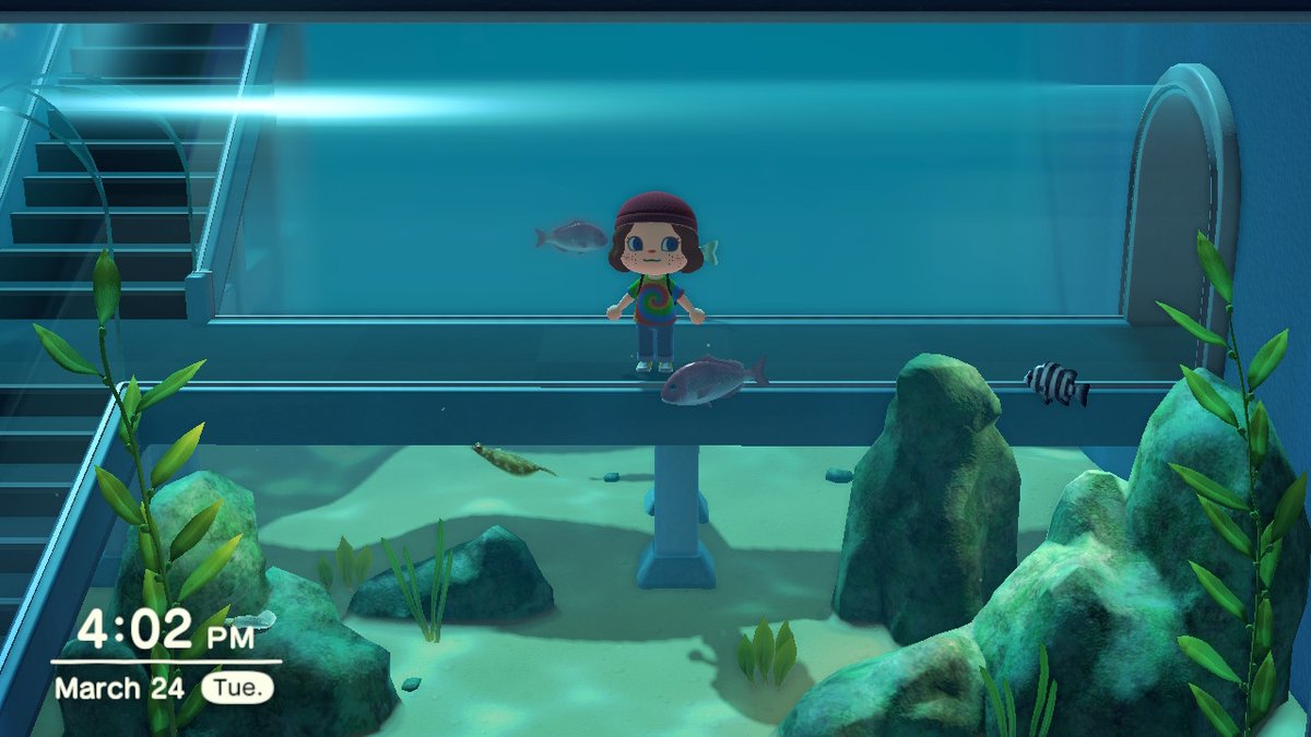 StayGrooovy's tweet photo. Bro new horizons is gonna be the death of me #AnimalCrossing #ACNH #NintendoSwitch https://t.co/9yOdIQgwck