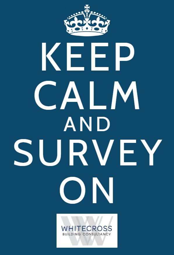 As building surveyors and project managers we are well used to working under reactive and ever changing circumstances. Current conditions are clearly unprecedented however we are well equipped to continue servicing existing and new instructions and clients where conditions allow.