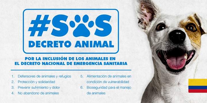 #SOSDecretoAnimal <a href="/IvanDuque/">Iván Duque 🇨🇴</a> <a href="/MinInterior/">MinInterior Colombia</a> @MinambienteCo
Les solicito con urgencia elaborar un decreto que brinde  ayuda a defensores de animales con refugios, se promueva el no abandono,se creen bancos de alimentos para animales y se convoque a una red de solidaridad nacional.
