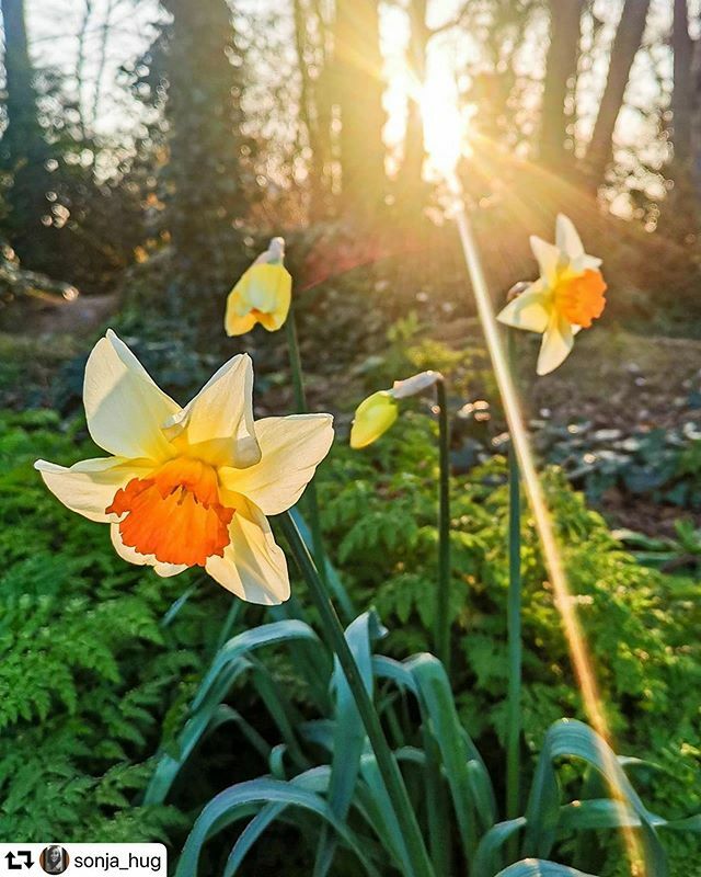 Here’s to brighter days spent in the sun with our loved ones , beautiful shot @sonja_hug
・・・
#landscape #photo #ig_masterpiece #nature #discover #theimaged #visual #colour #photography #capture #raw_colours #fatalframes #agameoftones #irishlandscape … ift.tt/2wGlXi1