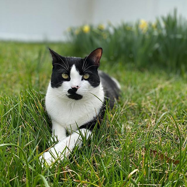 Bradford Fischer tweet media