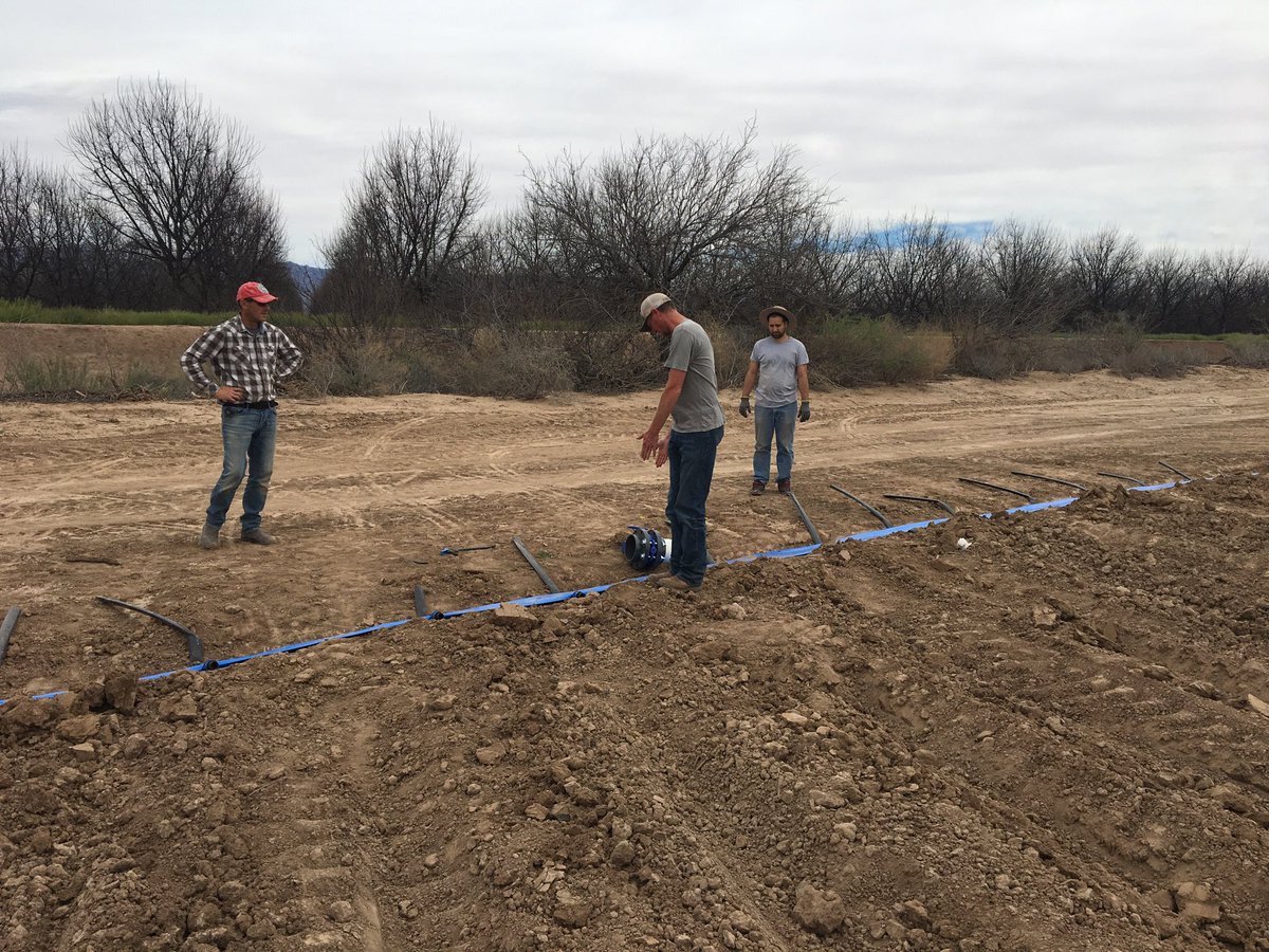 NMSUNatalieG's tweet photo. Installing a drip system at the Leyendecker Plant Science  Center. A great example of social distancing in farming! #SocialDistancing #NMSUaes #NMSUaces https://t.co/BxBI0FFSkG