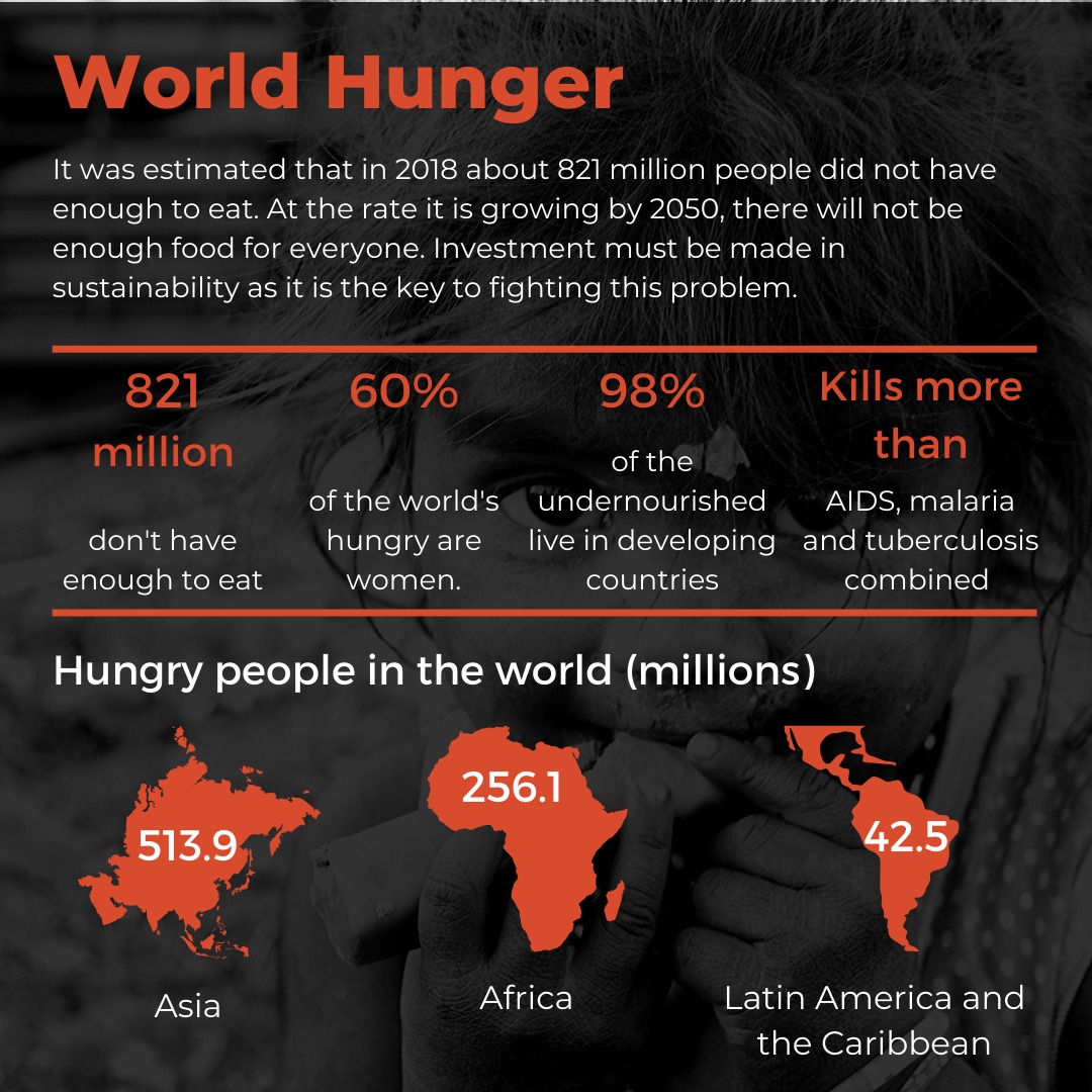 CRInsect's tweet image. From all the issues of the world, one of the biggest of humanity nowadays it’s the famine. In this infographic you will find some important information about it and why it’s so important for us.
#CRIC #SaveTheWorldEatBugs #hunger #famine