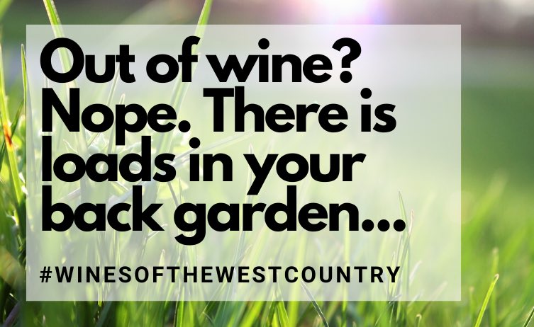 The vineyard down the road that you drive past and hear good things about but never get round to investigating... They’re delivering. And many are doing so free for local customers. We’ve tagged a few in for starters. Cheers everybody! 😀🥂

#winesofthewestcountry #EnglishWine
