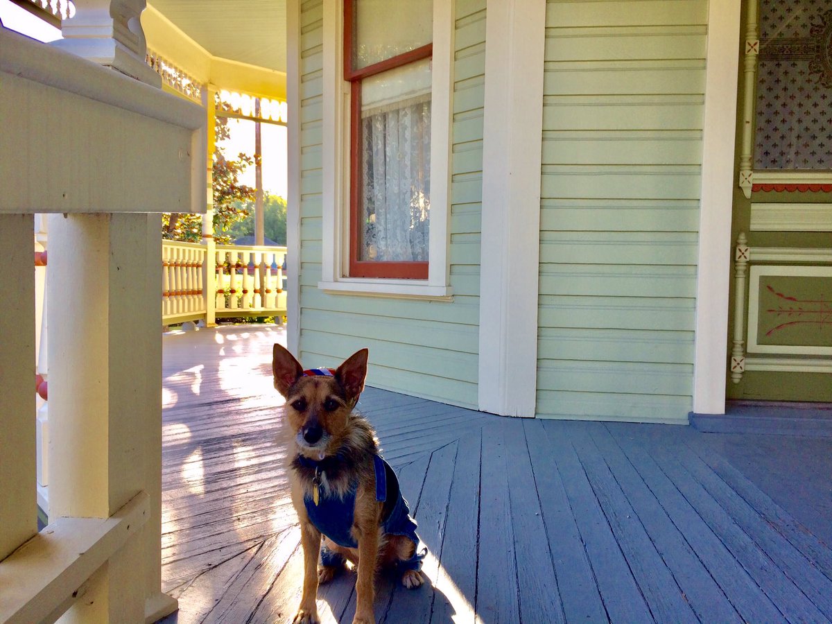 HerbieMooland's tweet image. Forgot to post this one too the other day: #late #oldtimeyvibes