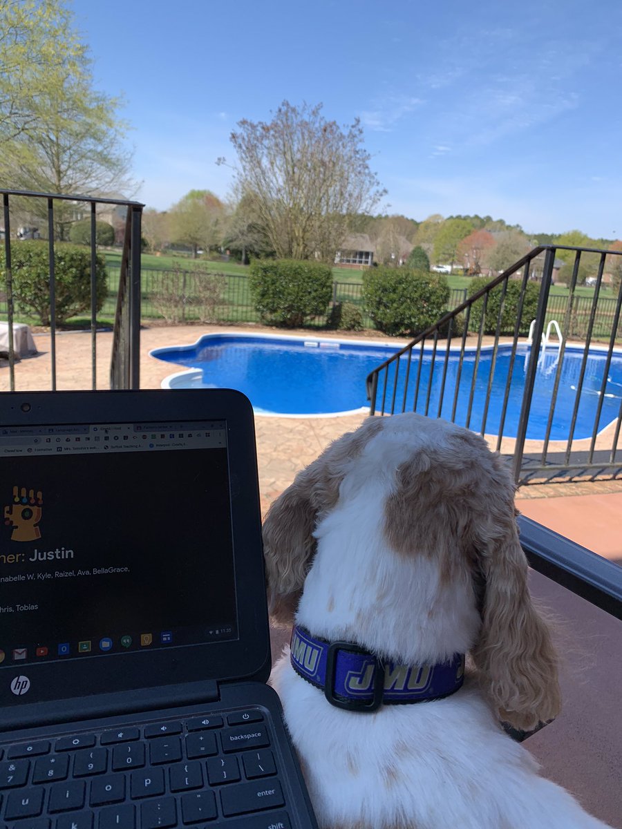 mrstomchikvb's tweet photo. Working from my home office, reviewing Science with @gimkit. My students love the Thanos mode! #VBAlwaysLearning #Relentlessgators @GlenwoodES @BeckaGoshert https://t.co/5ISZAjEmM6