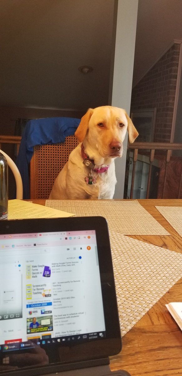 MommaBird420's tweet photo. @OMMNAACPS @ShipChoiceAACPS My unenthusiastic student #Konapup #princesskona #OneComplexOneHeart #LiftOurSpiritsWeek #AACPSAwesome #OMMNPride #SCESSharks https://t.co/3WLsH5EnDT