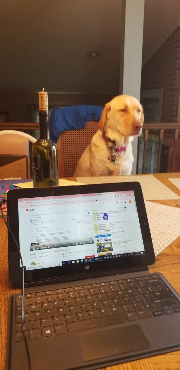 MommaBird420's tweet photo. @OMMNAACPS @ShipChoiceAACPS My unenthusiastic student #Konapup #princesskona #OneComplexOneHeart #LiftOurSpiritsWeek #AACPSAwesome #OMMNPride #SCESSharks https://t.co/3WLsH5EnDT