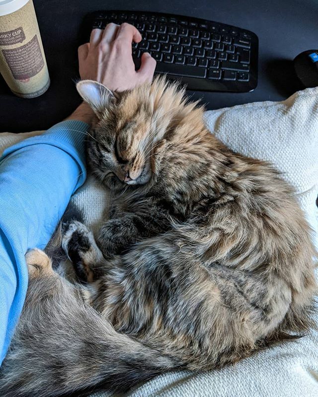 mathewpan24's tweet photo. My typing speed has decreased a bit recently 😸 https://t.co/8ykeEI2oUu https://t.co/a1uk3HADtb