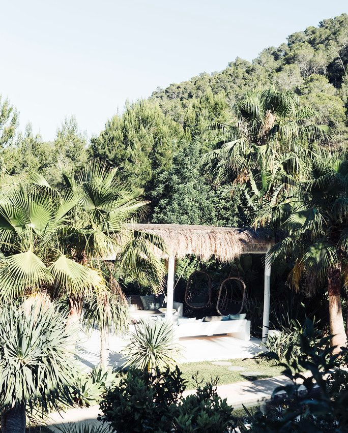 PureHouseIbiza's tweet photo. Springtime in Ibiza looks a little something like this…
.
#purehouseibiza #purehouse #boutiquehotel #designhotel #ibizahotel #ibiza https://t.co/6m6h95uypM
