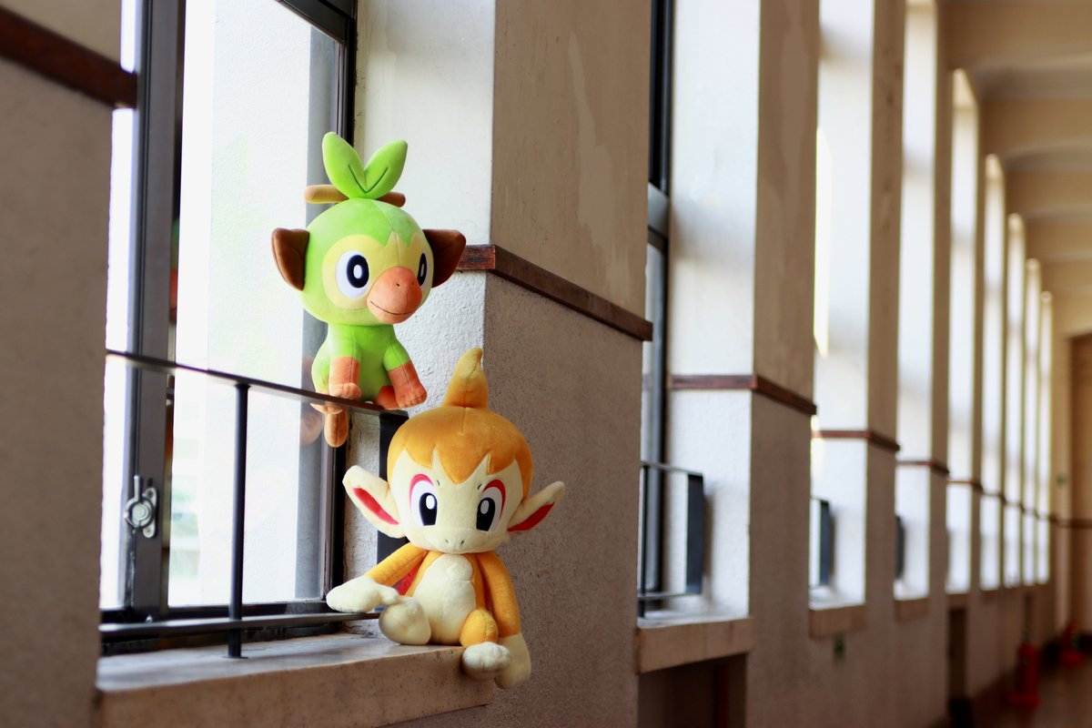 へたぎん@ミアレシティ tweet media