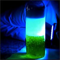 SciXchangeTMU's tweet photo. Want a quick and easy way to make a lava lamp? Try this DIY lava lamp experiment at home! All you need is water, oil, food coloring and an Alka Setzer! Add some extra water for an ERUPTION! #QuarantineLife #ColorfulScience #STEMeducation
https://t.co/abNG2X5675 https://t.co/VoYd2TyT3n